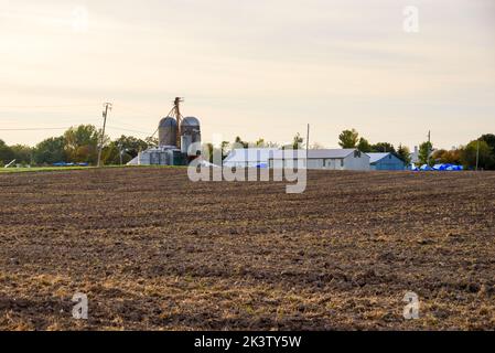 Landwirtschaftliche Gebäude mit Silos und einem Getreideaufzug am äußersten Ende eines gepflügten Feldes unter bewölktem Himmel bei Sonnenuntergang im Herbst Stockfoto