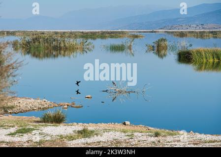 See Karla, Griechenland, schöner ruhiger See mit Fata Morgana. Stockfoto