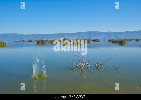 See Karla, Griechenland, schöner ruhiger See mit Fata Morgana. Stockfoto