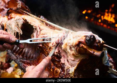 Der Koch schneidet das ganze gegrillte Schweinefleisch für Steaks mit einem Messer. Vom Schwein gegrillte traditionelle Kohle und Feuer. Das kleine Ferkel wird ganz auf einem offenen Feuer geröstet Stockfoto