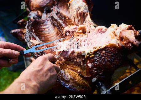 Der Koch schneidet das ganze gegrillte Schweinefleisch für Steaks mit einem Messer. Vom Schwein gegrillte traditionelle Kohle und Feuer. Das kleine Ferkel wird ganz auf einem offenen Feuer geröstet Stockfoto