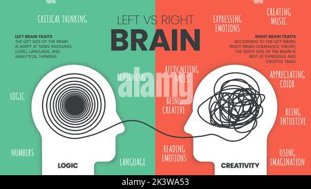 Infografik: Linkes Gehirn vs. Rechtes Gehirn – Dominanz. Wie das menschliche Gehirn funktioniert Theorie. Kreative Menschen haben sich mit den richtigen und analytischen Denkern lef angestrengt Stock Vektor