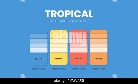 Tropischer Farbführer Buch Karten Beispiele. Farbschemata oder Farbschemata Kollektion. Farbkombinationen in RGB oder HEX. Satz von Trendfarben-Farbskarb Stock Vektor