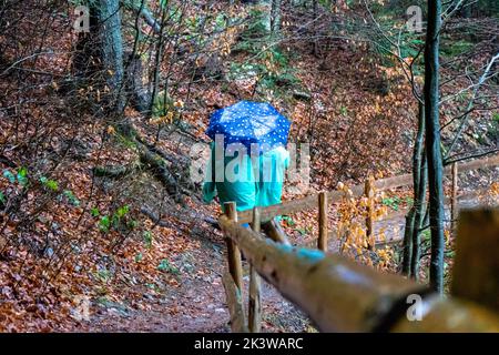 Frau mit Kindern auf Regenmänteln, die auf einem eisbedeckten Weg um den von Eis bedeckten See Synevyr, die Karpaten, Ukraine, wandern Stockfoto