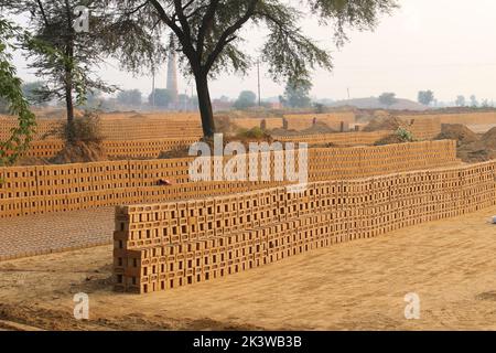 Rewari, Haryana/Indien - Herstellung von Ziegelsteinen. Roher Ziegel, der in Stapeln zum Trocknen ausgelegt ist. Stockfoto