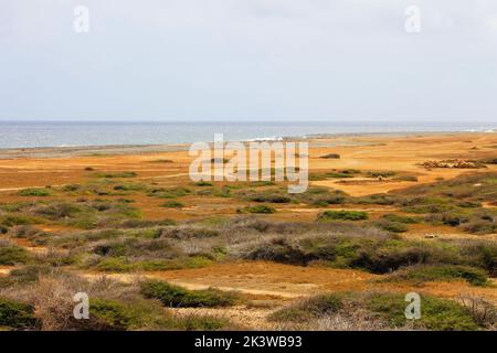 Blick über die Wüste von Aruba auf die Küste Stockfoto