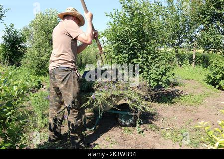 Ein Dorfbewohner reinigt seinen Garten von Unkraut Stockfoto