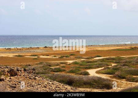 Blick über die Wüste von Aruba auf die Küste Stockfoto