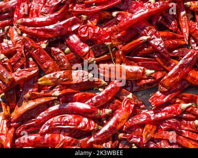 Getrocknete würzige rote Chilischoten heißen Hintergrund. Essen, internationale Küche und weltweites Reisekonzept. Stockfoto