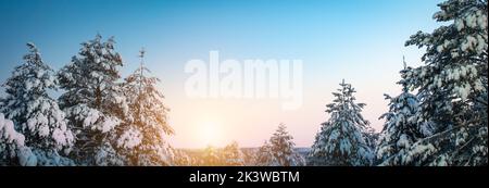 Schönes Winterpanorama mit schneebedeckten Tannenbäumen an einem frostigen sonnigen Tag. Stockfoto