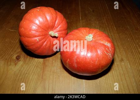 Essen und Trinken: Herbstgemüse, zwei ganze Hokkaido-Kürbisse Stockfoto