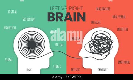 Infografik: Linkes Gehirn vs. Rechtes Gehirn – Dominanz. Wie das menschliche Gehirn funktioniert Theorie. Kreative Menschen haben sich mit den richtigen und analytischen Denkern lef angestrengt Stock Vektor