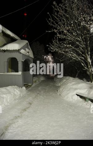 Bahnhof Pyayve Пяйве auf dem nördlichsten Personenzug der Welt zwischen Murmansk und Nikel in der Polarnacht mit eisbedeckten Bäumen Stockfoto