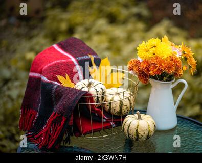 Stillleben im Herbst mit Kürbissen, Blumen Chrysanthemen und roter Decke auf dem Tisch. Herbstlicher Hintergrund mit herbstlichen Dekorationen Stockfoto