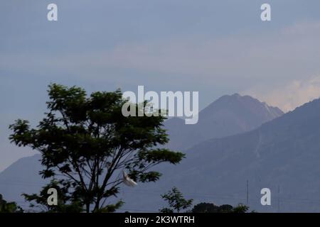 Allgemeine Ansicht der Aktivität des Merapi-Vulkans von Salatiga aus, Zentral-Java. Derzeit ist der Status des Vulkans, der sich an der Grenze von Zentral-Java und der Sonderregion Yogyakarta befindet, noch auf Alarmstufe III deklariert Die Gemeinde wird immer noch gebeten, keine Aktivitäten in potenziellen Gefahrengebieten durchzuführen und Störungen aufgrund der Vulkanasche aus dem Ausbruch des Merapi-Vulkans zu erwarten. Stockfoto