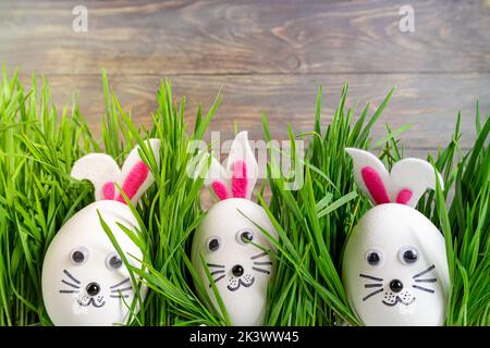 Lustige ostereier niedlichen Hasen im Gras. Frohe Ostern Hintergrund. Festliche Osterkompositionen mit niedlichen Kaninchen-Eiern. Kreative Ostereier-Dekoration Stockfoto