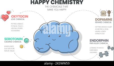 Happy Chemistry Infografik hat 4 Arten von chemischen Hormonen wie Oxytocin (Love), Serotonin (Calming), Dopamin (Reward) und Endorphin (Pain Kille Stock Vektor