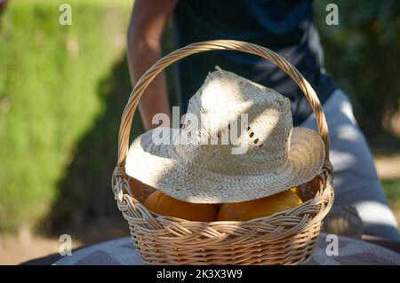 Gelbe kleine Melonen in einem Korb Stockfoto