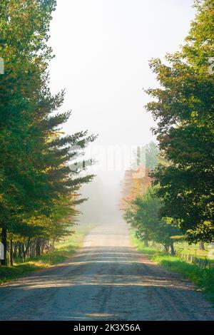 Ländliche Schotterstraße an einem nebligen New England Morgen in Stowe Vermont, USA Stockfoto