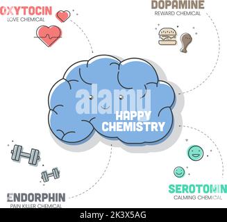 Happy Chemistry Infografik hat 4 Arten von chemischen Hormonen wie Oxytocin (Love), Serotonin (Calming), Dopamin (Reward) und Endorphin (Pain Kille Stock Vektor