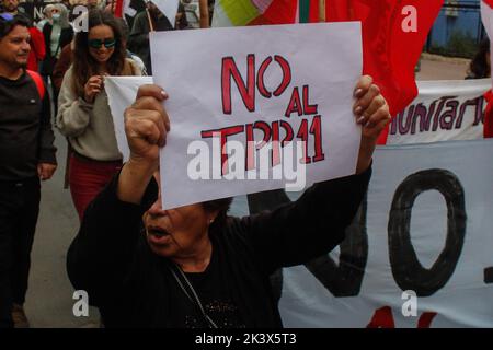 Valparaiso, Chile. 28. September 2022. Ein Protestler hält während der Demonstration ein NEIN zu TPP-11 Plakat. DIE DEMONSTRATION „NEIN zu TPP-11“ (umfassender und progressiver Vertrag über die Transpazifische Partnerschaft) fand vor dem Nationalkongress in Valparaiso, Chile, statt. Kredit: SOPA Images Limited/Alamy Live Nachrichten Stockfoto