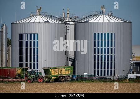 RWE Biogasanlage Bergheim-Paffendorf, hier Pflanzen aus der regionalen Landwirtschaft, Ganzpflanzen, Gras- und Maissilage, Grünrogen, Zuckerrüben und luzern, ar Stockfoto