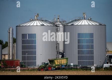 RWE Biogasanlage Bergheim-Paffendorf, hier Pflanzen aus der regionalen Landwirtschaft, Ganzpflanzen, Gras- und Maissilage, Grünrogen, Zuckerrüben und luzern, ar Stockfoto