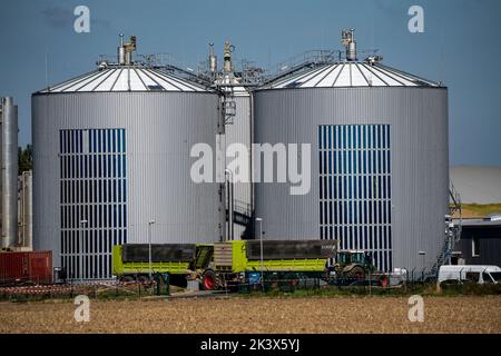 RWE Biogasanlage Bergheim-Paffendorf, hier Pflanzen aus der regionalen Landwirtschaft, Ganzpflanzen, Gras- und Maissilage, Grünrogen, Zuckerrüben und luzern, ar Stockfoto