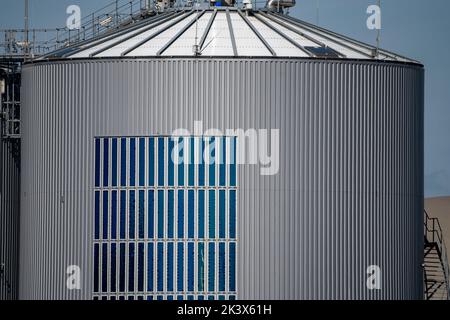 RWE Biogasanlage Bergheim-Paffendorf, hier Pflanzen aus der regionalen Landwirtschaft, Ganzpflanzen, Gras- und Maissilage, Grünrogen, Zuckerrüben und luzern, ar Stockfoto