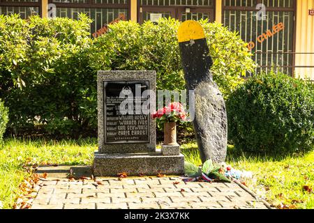 Ceminy, (Plzensky kraj) Denkmal der Tschechischen Republik, das der Besatzung des Bomberflugzeugs B-17G gewidmet ist Stockfoto