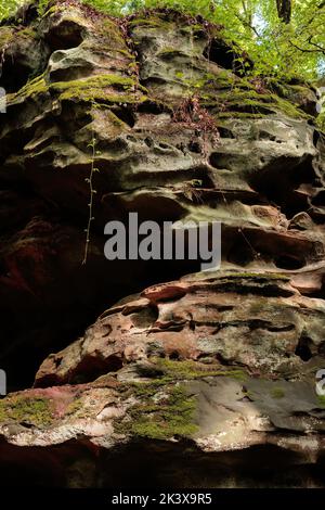 Felsformation und Waldlandschaft in der Region der Kleinen Luxemburger Schweiz (Mullerthal) nahe der deutschen Grenze. Hochwertige Fotos Stockfoto