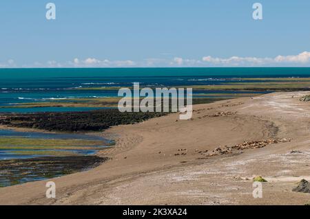 Caleta Valdes Landescape, Halbinsel Valdes chubut Provinz Patagonien Argentinien Stockfoto