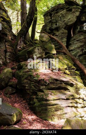 Felsformation und Waldlandschaft in der Region der Kleinen Luxemburger Schweiz (Mullerthal) nahe der deutschen Grenze. Hochwertige Fotos Stockfoto