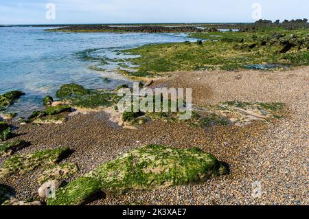 Caleta Valdes Landescape, Halbinsel Valdes chubut Provinz Patagonien Argentinien Stockfoto