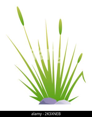 Wilde Sumpfpflanze - modernes flaches Design-Stil einzelnes isoliertes Bild Stock Vektor