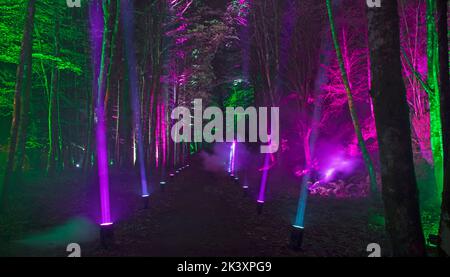 Pitlochry, Perth und Kinross, Schottland. 28. September 2022. Im Waldgebiet von Forestry & Land ist Schottlands Faskally Wood Schauplatz des Enchanted Forest 2022, der diesen Herbst mit seiner Jubiläumsschau zum 20.. Geburtstag nach Pitlochry zurückkehrt. Die 2002 gegründete Veranstaltung beginnt mit dem Thema „Together“, inspiriert von der hoffnungsvollen öffentlichen Stimmung der Zweisamkeit. Es wird gehofft, dass die Fantasie des Publikums mit schillernden Visuals und innovativem Design, choreografiert gegen eine Originalmusik, angezündet wird. Von Donnerstag, 29. September 2022, Bis Sonntag, 30. Oktober 2022. Kredit; Arch White/alamy Live Nachrichten Stockfoto