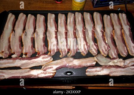 Künstlerisch angeordnete Speckbraten auf einem tragbaren Elektrogrill zu Hause. Clitherall Minnesota, USA Stockfoto