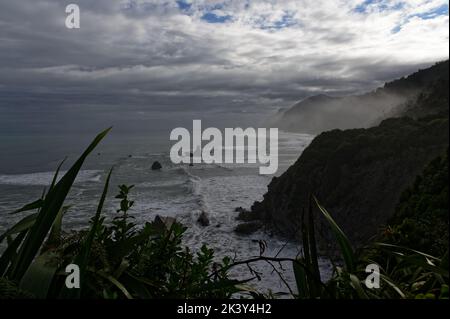 Nebel sammelt sich über den Bäumen in einer Bucht entlang der Westküste Stockfoto