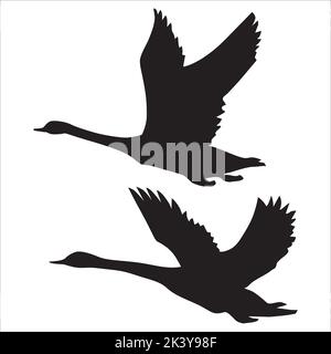 Vektor-Set Von Schwan Silhouetten Illustration Isoliert Auf Weißem Hintergrund Stock Vektor