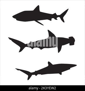 Vektor-Set Von Sharks Silhouetten Illustration Isoliert Auf Weißem Hintergrund Stock Vektor