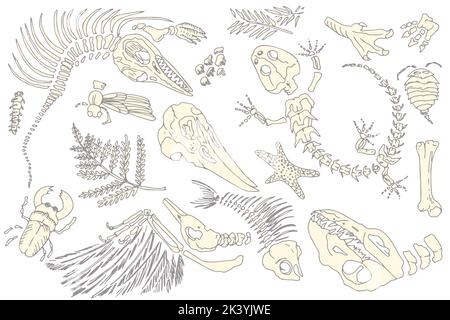 Set von Silhouette bedruckt Skelette von prähistorischen Tieren, Insekten und Pflanzen. Graue Archäologie, Bruchstücke von Rissfelsen, Trümmerbrocken. Satz von Stock Vektor