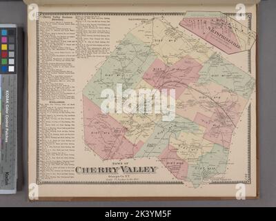 Saltspringville Village; Town of Cherry Valley, Otsego Co. N.Y. Township; Cherry Valley Business Directory. Kartografisch. Atlanten, Karten. 1868. Lionel Pincus und Prinzessin Firyal Map Division. Otsego County (N.Y.), Immobilien , New York (Bundesstaat) , Otsego County Stockfoto