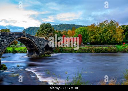 Das kriechende Laub in Virginia auf dem TU Hwnt i'r Bont (Beyond the Bridge) Llanwrst, Conwy North Wales, hat Anfang Herbst seine Farbe von grün auf rot geändert. Das Gebäude wurde 1480 als Wohnhaus erbaut, ist aber seit über 50 Jahren eine Teestube. Bilddatum: Donnerstag, 29. September 2022. Stockfoto