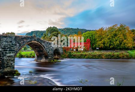 Das kriechende Laub in Virginia auf dem TU Hwnt i'r Bont (Beyond the Bridge) Llanwrst, Conwy North Wales, hat Anfang Herbst seine Farbe von grün auf rot geändert. Das Gebäude wurde 1480 als Wohnhaus erbaut, ist aber seit über 50 Jahren eine Teestube. Bilddatum: Donnerstag, 29. September 2022. Stockfoto