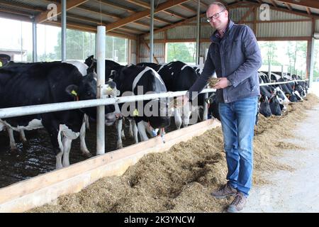 Perleberg, Deutschland. 23. September 2022. Helge Milatz, Geschäftsführer und Vorstandsvorsitzender der Landwirtschaftsgenossenschaft Quitzow bei Perleberg (Prignitz), steht in einem der Stände, in denen die Milchkühe untergebracht sind. Rund 400 von ihnen leben auf dem Bauernhof, von denen derzeit etwa 330 gemolken werden. (Zur dpa: 'Die Milchbauern in Brandenburg sind vorsichtig optimistisch.') Quelle: Oliver Gierens/dpa/Alamy Live News Stockfoto