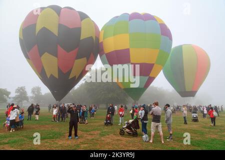 Bunte Heißluftballons im Nebel bei Balloons over Waikato, einem Festival in Hamilton, Neuseeland Stockfoto