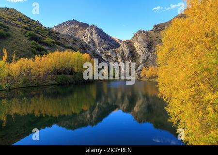 Herbstbäume und schroffe Hügel umgeben und spiegeln sich in einem kleinen See. Otago, Neuseeland Stockfoto