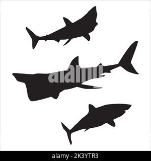 Vektor-Set Von Sharks Silhouetten Illustration Isoliert Auf Weißem Hintergrund Stock Vektor