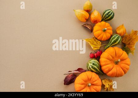 Herbstkomposition. Kürbisse und Blumen auf pastellfarbenem Hintergrund. Herbst, Herbst und Danksagetag Konzept. Stockfoto