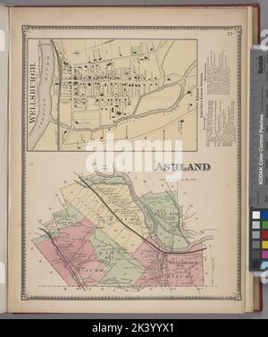 Wellsburgh. Dorf; Ashland Subscriber's Business Directory; Ashland Township-Kartographie. Atlanten, Karten. 1869. Lionel Pincus und Prinzessin Firyal Map Division. Chemung County (N.Y.), Immobilien , New York (Bundesstaat) , Chemung County, Unternehmen, New York (Bundesstaat) , Chemung County Stockfoto